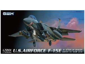 USAF F-15E In action of OEF & OIF