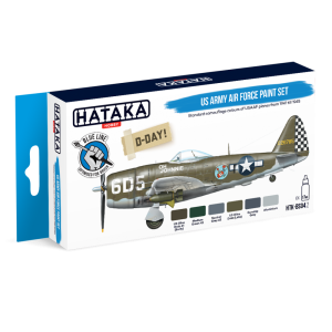 US Army Air Force paint set