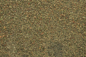 Blended Turf Earth Blend Shaker