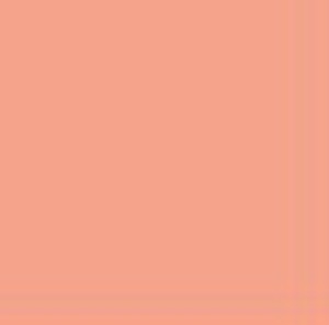 CL07 Rosy Peach Base Color Gloss