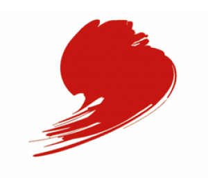 HTK-C103 Traffic Red ( RAL 3020 )