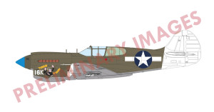 Curtiss P-40 K Short Tail (Profipack Edition)