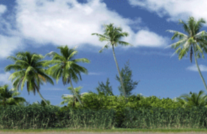 Pacific Airfield Background