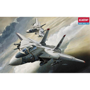 F-14 Tomcat