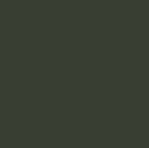 C361 Dark Green BS641 (Flat)