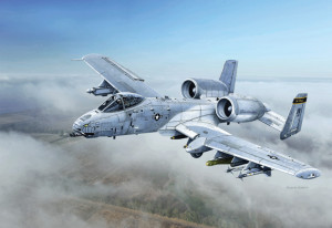 A-10C ''Blacksnackes''