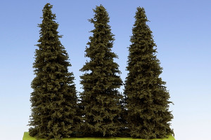 Spruce 140 mm - 160 mm
