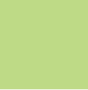 CL109 Lime Green Base Color Gloss