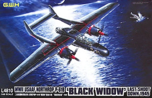Northrop P-61B 'Black Widow' WWII USAAF - Last Shoot Down 1945