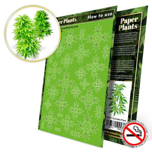 Paper Plants - Cannabis Plant