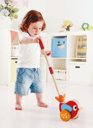 Hape Push & Pull Ξύλινο Πουλάκι Lilly Με Ήχους (E0353A)