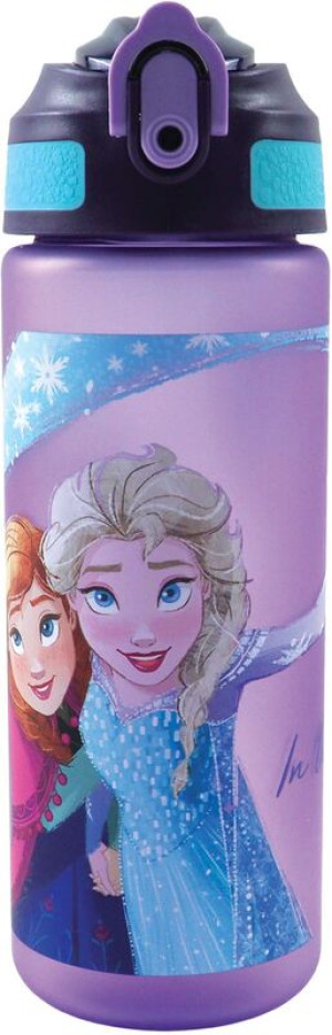 GIM Παγούρι Με Καλαμάκι 600ml Frozen (551-47217)