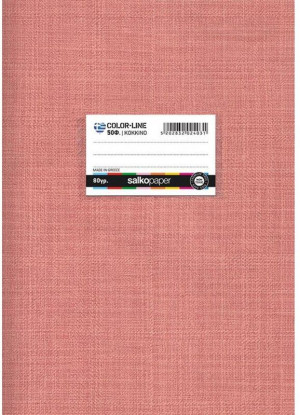 Salko Τετράδιο Καρφίτσα Colorline Κόκκινο 17x25 50 Φύλλων (2403)