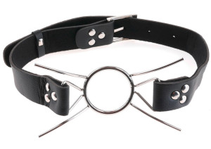 Fetish Fantasy FF Spider Gag