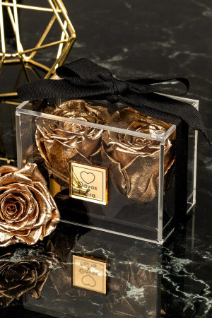 Παντοτινά Τριαντάφυλλα, Forever Roses Gold Couple