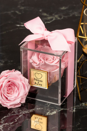 Παντοτινό Τριαντάφυλλο σε Ροζ Χρώμα, Forever Rose Pink