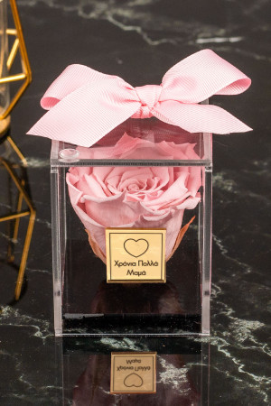 Παντοτινό Τριαντάφυλλο σε Ροζ Χρώμα, Forever Rose Pink