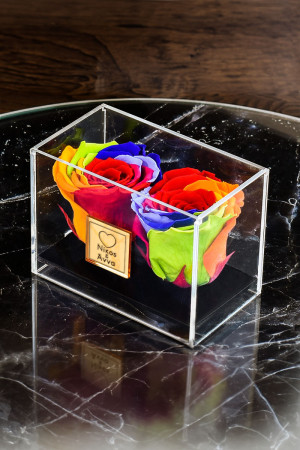 Παντοτινά Τριαντάφυλλα, Forever Roses Rainbow Couple