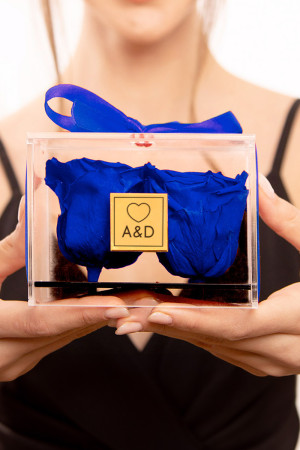 Παντοτινά Τριαντάφυλλα σε Μπλε Χρώμα, Forever Roses Couple