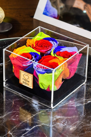Παντοτινά Τριαντάφυλλα, Forever Roses Rainbow Love