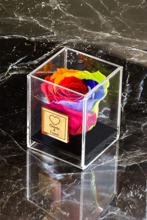 Παντοτινά Τριαντάφυλλα, Forever Rose Rainbow