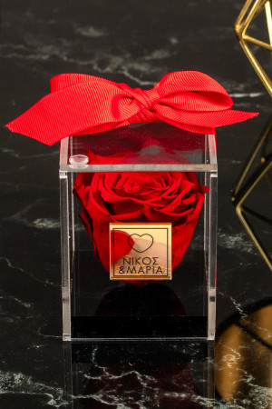Παντοτινό Τριαντάφυλλο σε Κόκκινο Χρώμα, Forever Rose Red