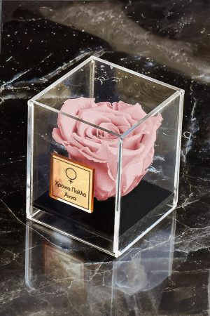 Παντοτινό Τριαντάφυλλο σε Ροζ Χρώμα, Forever Rose