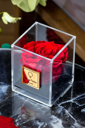 Παντοτινό Τριαντάφυλλο σε Κόκκινο Χρώμα, Forever Rose Red
