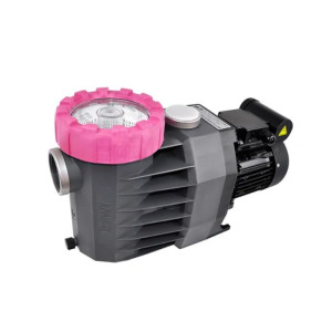 BWT-Procopi Pompe Piscine BWT Eurostar II 100-T tri
