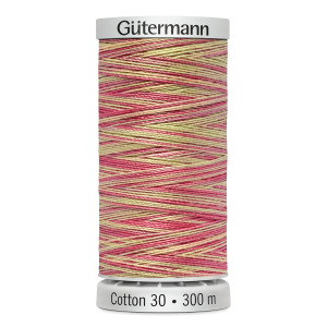 Gütermann Maschinen Quiltgarn Cotton 30 MULTICOLOR 4127