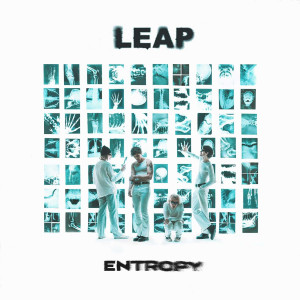 Entropy by LEAP (VINYL LP)