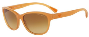 Emporio Armani EA 4080 55372L Sonnenbrille