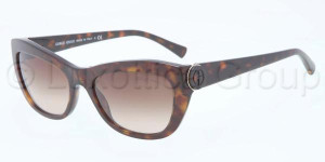 Giorgio Armani AR 8029 502613 Sonnenbrille