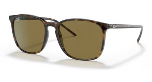 Ray Ban RB4387 710/73 Sonnenbrille