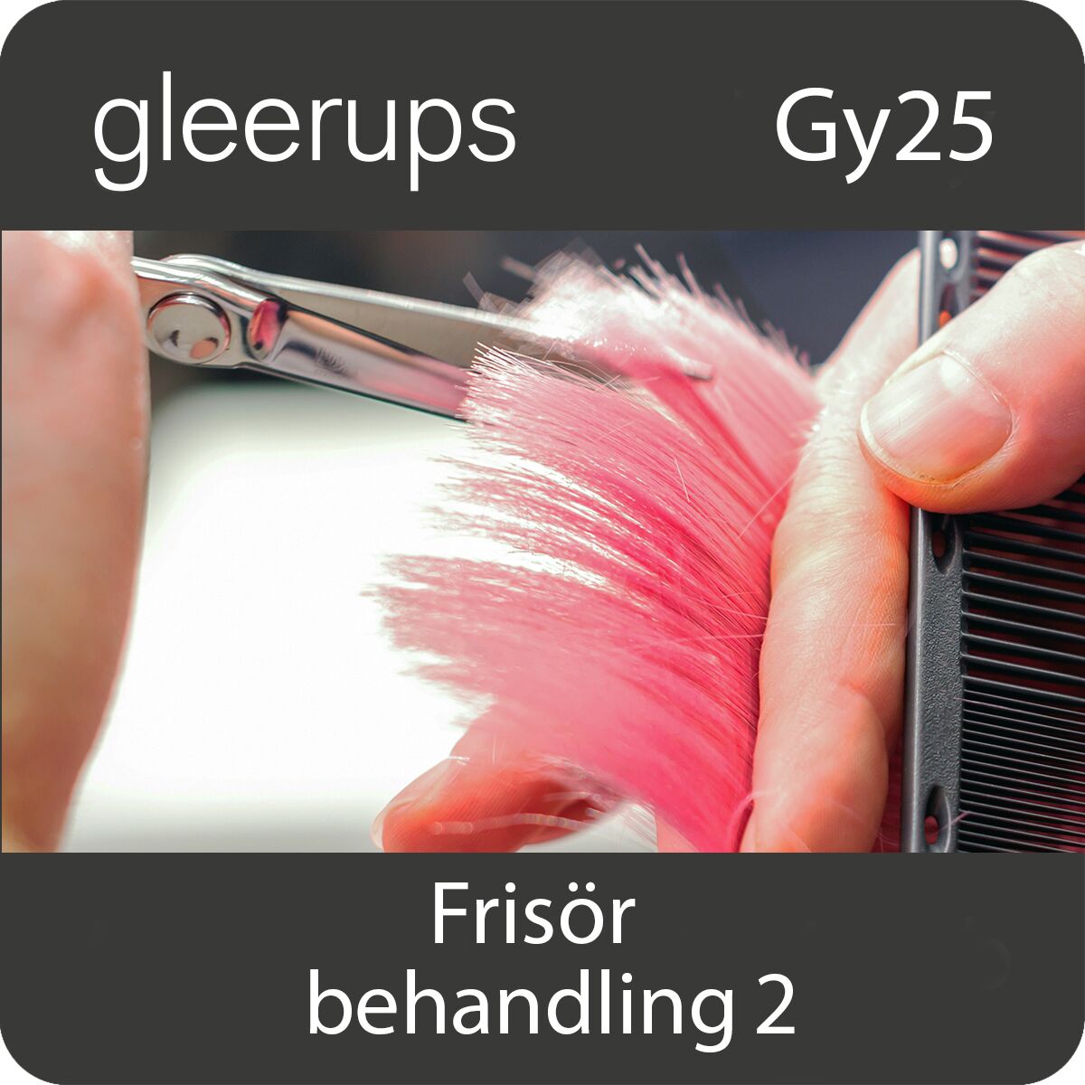 Gleerups Utbildning AB BokGym Frisör – behandling 2, digitalt, lärare, Gy25