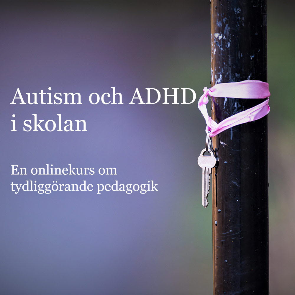 Natur & Kultur Digital Autism och ADHD i skolan : En onlinekurs om tydliggörande pedagogik