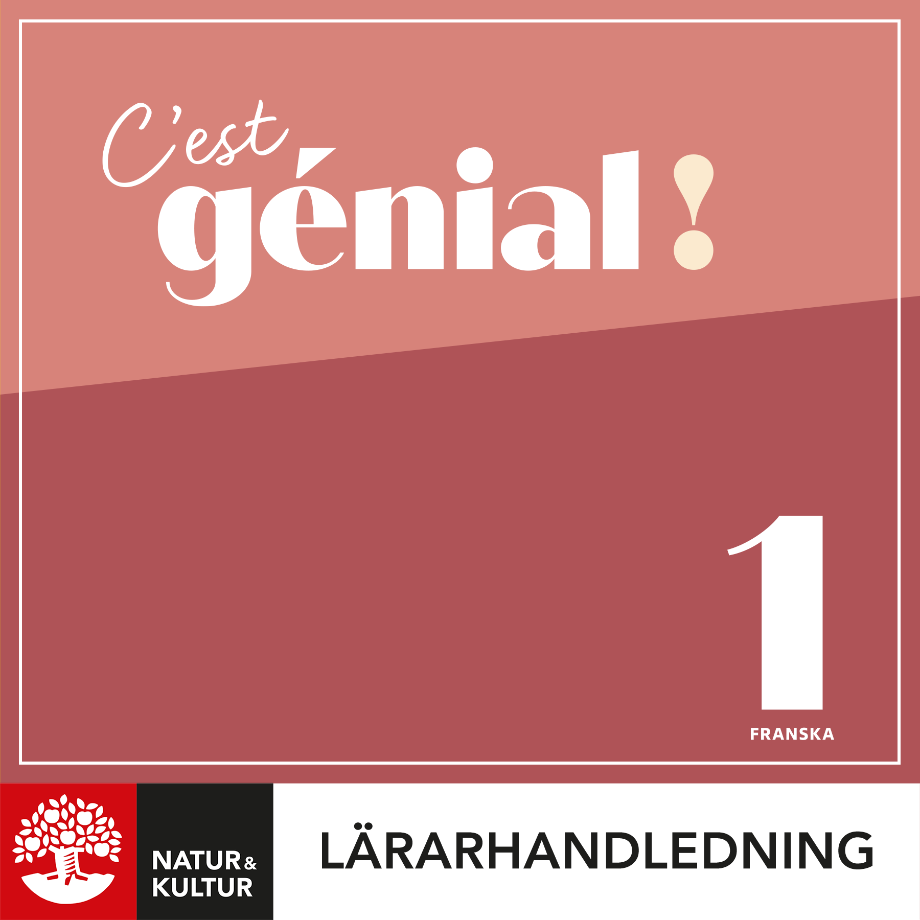 Natur & Kultur Digital C'est génial ! Franska Nybörjare Lärarhandledning Digital