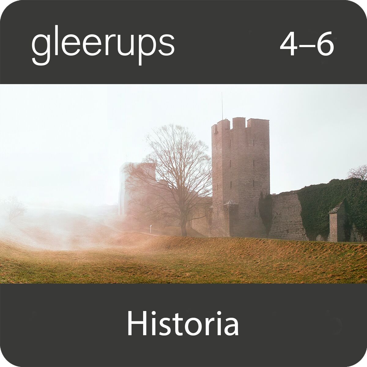 Gleerups Utbildning AB Gleerups historia 4-6, digitalt läromedel, elev