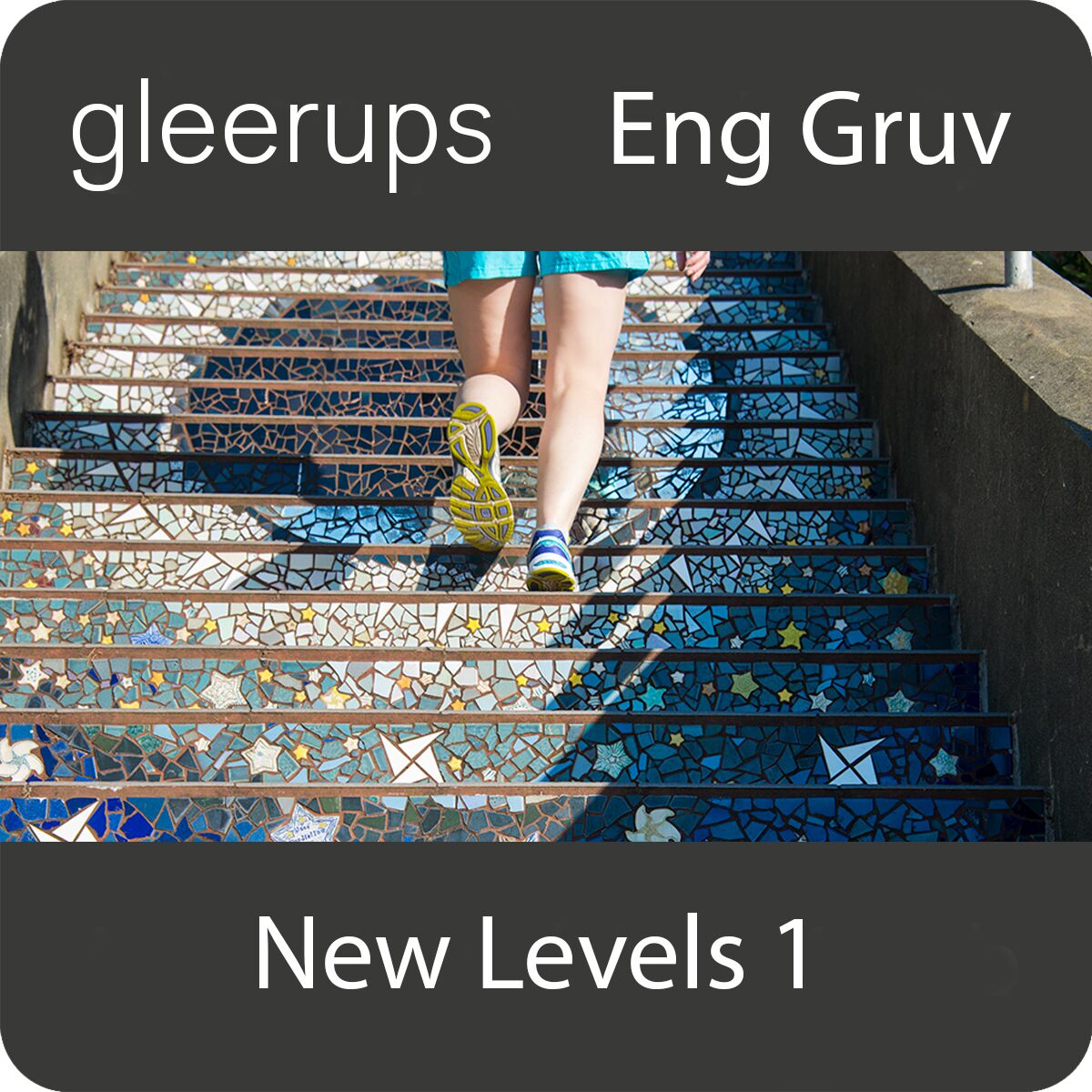 New Levels 1, 2:a upplagan, digitalt läromedel, elev