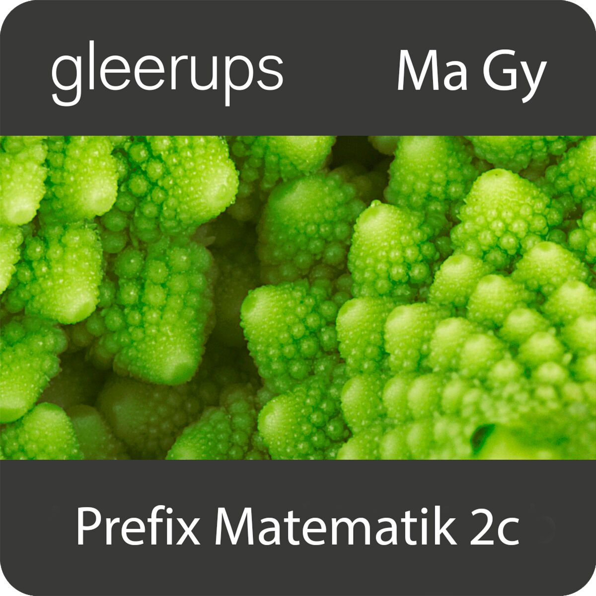 Gleerups Utbildning AB Prefix Matematik 2c, digitalt läromedel, lärare