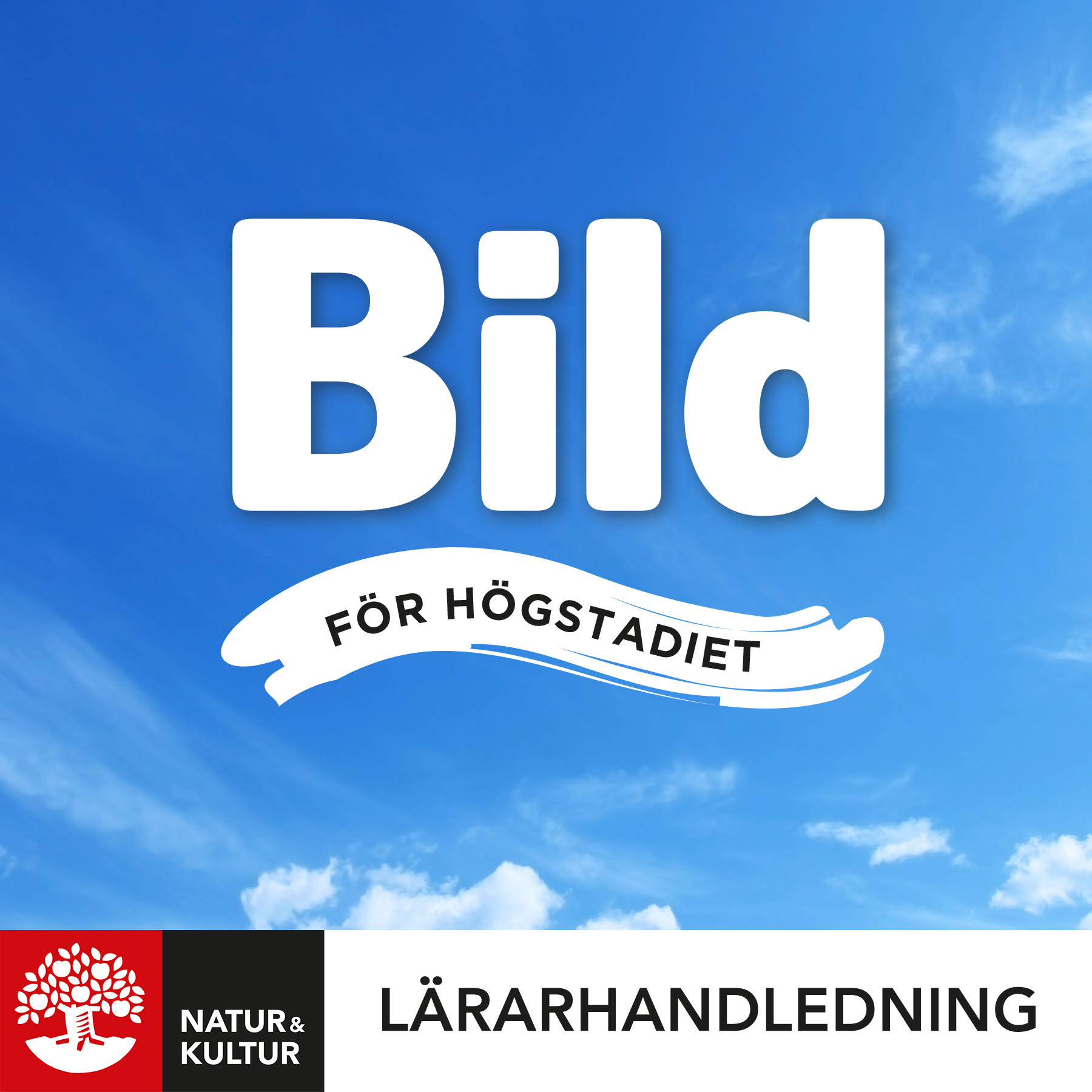 Natur & Kultur Digital Bild för högstadiet Lärarhandledning Digital