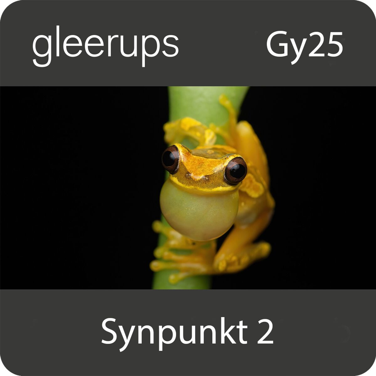 Gleerups Utbildning AB Synpunkt Naturkunskap 2, digitalt läromedel, elev, Gy25