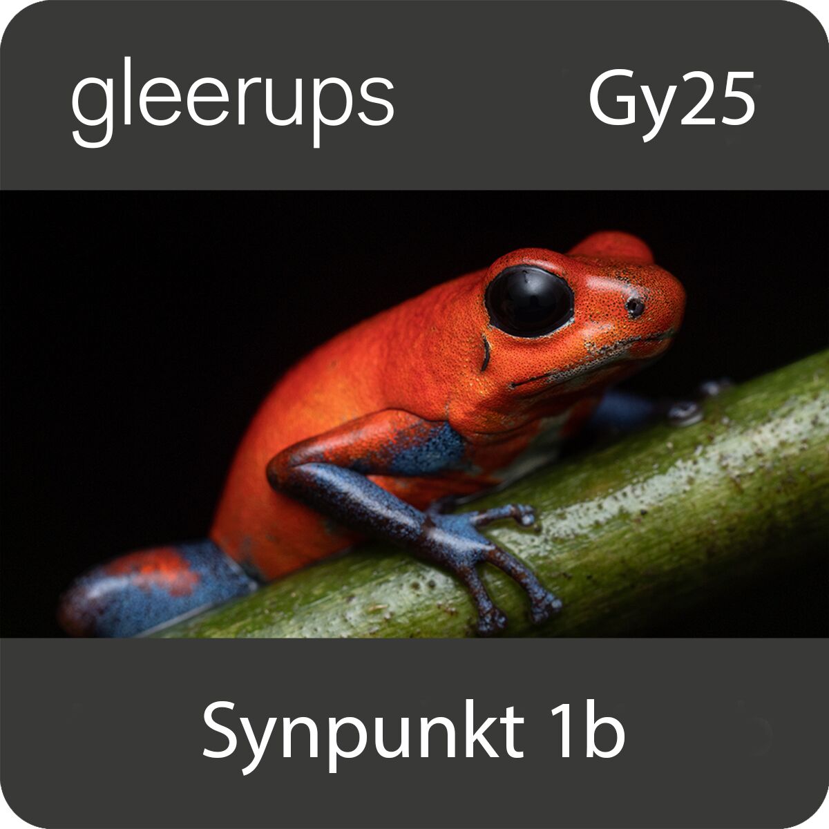 Gleerups Utbildning AB Synpunkt Naturkunskap 1b, digitalt läromedel, elev, Gy25
