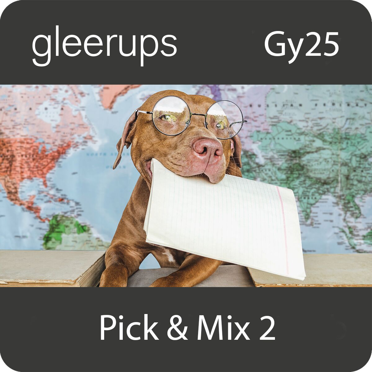 Gleerups Utbildning AB Pick & Mix 2, digitalt läromedel, elev, Gy25