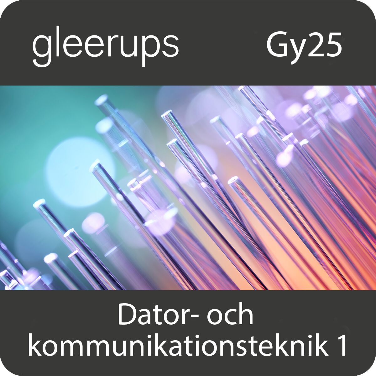 Gleerups Utbildning AB Dator- och kommunikationsteknik 1, digitalt läromedel, lärare, Gy25