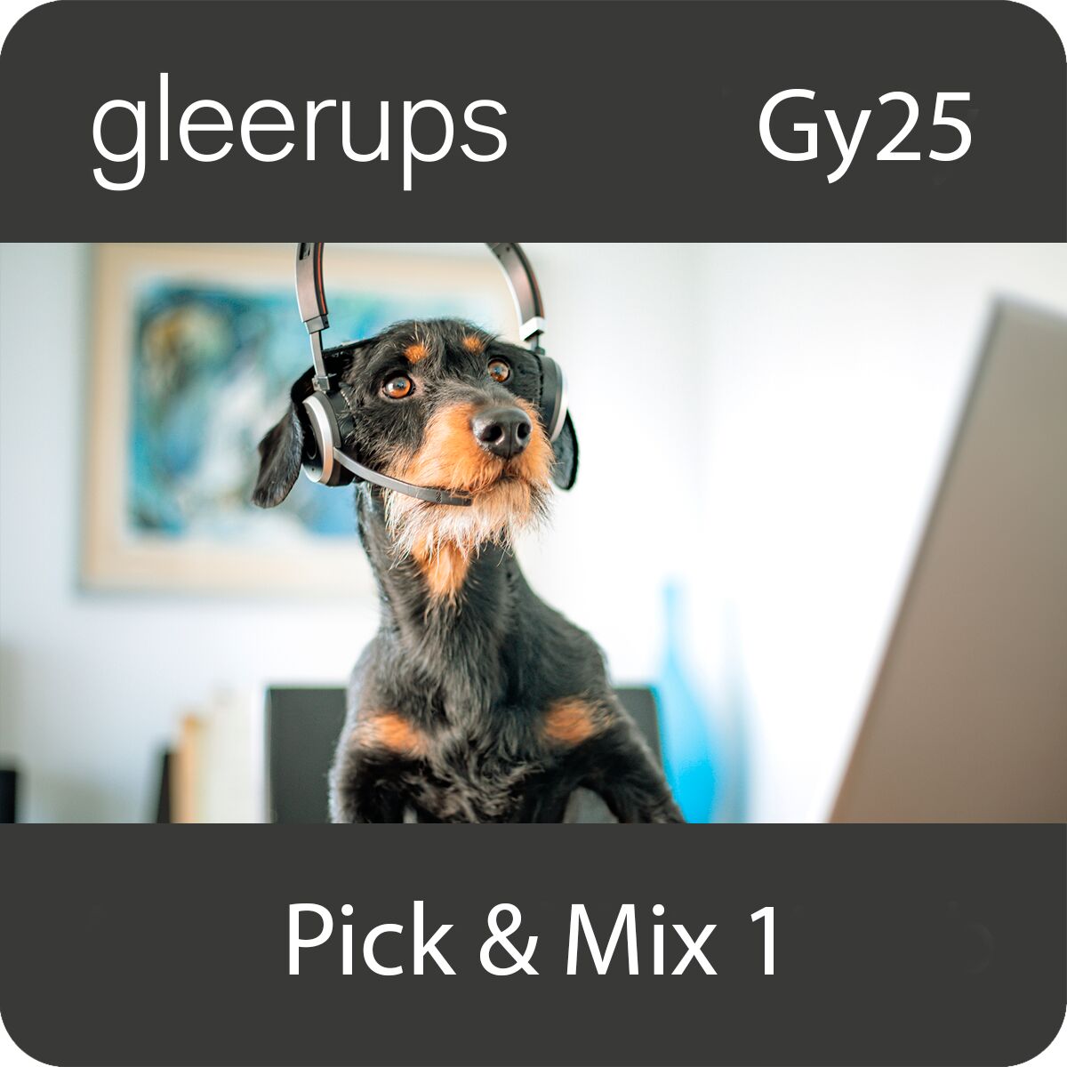 Gleerups Utbildning AB Pick & Mix 1, digitalt läromedel, elev, 6 el 12 mån, Gy25
