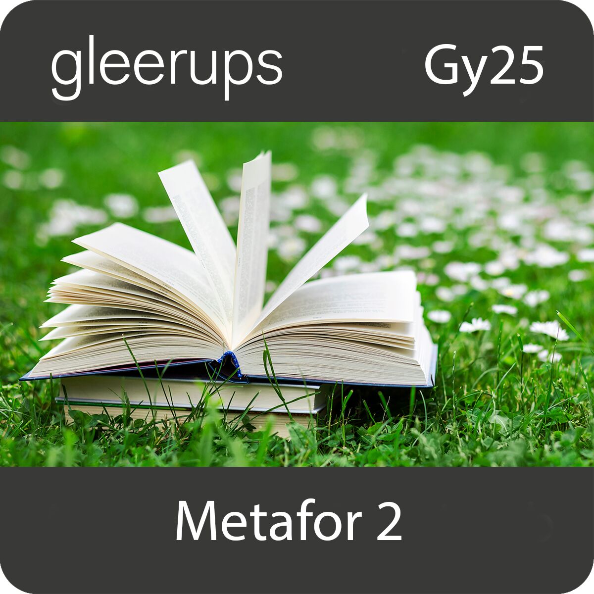 Gleerups Utbildning AB Metafor svenska 2, digitalt läromedel, elev, Gy25