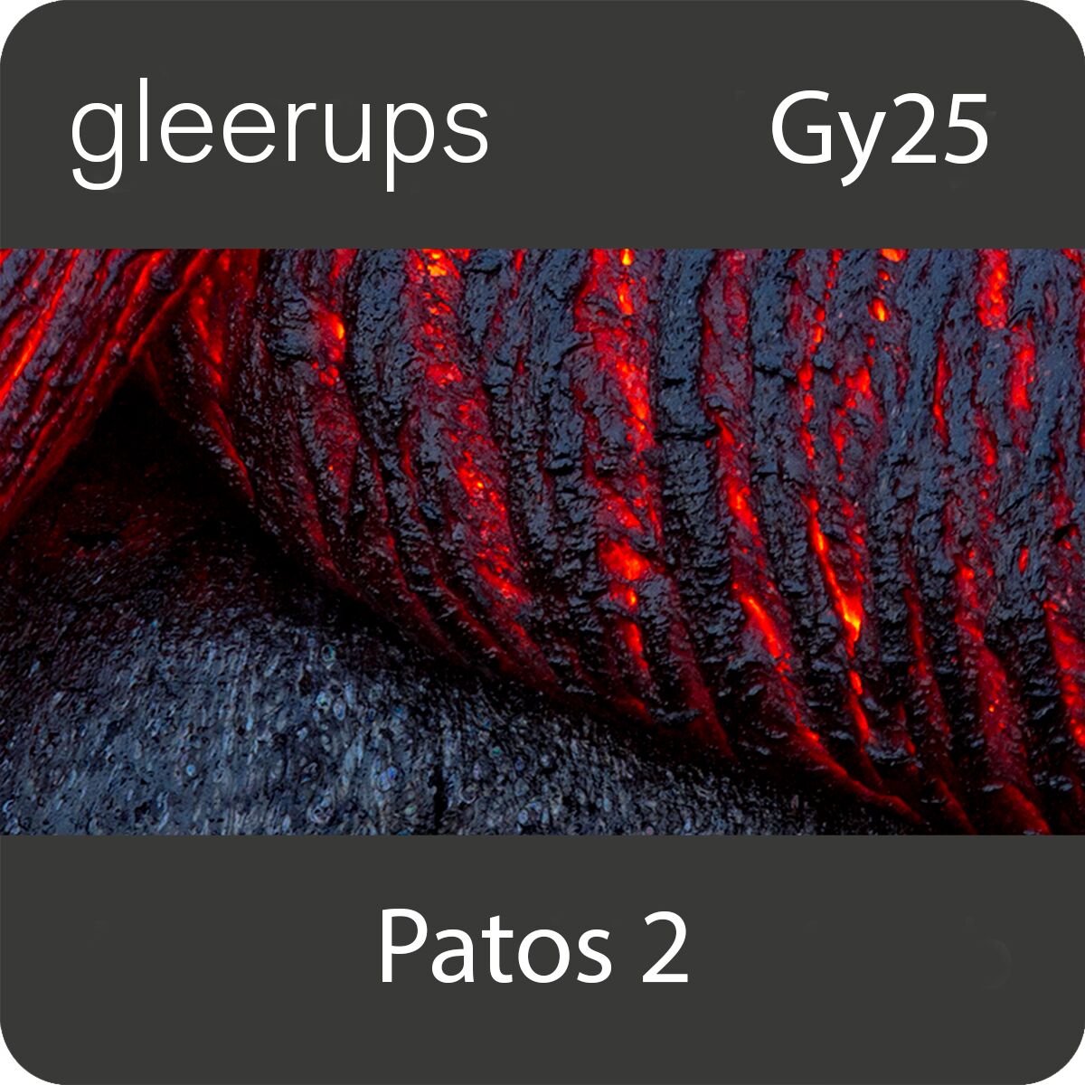 Gleerups Utbildning AB Patos svenska 2, digitalt läromedel, elev, Gy25