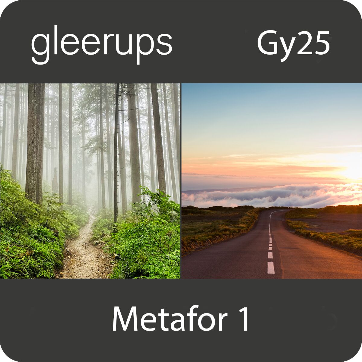 Gleerups Utbildning AB Metafor svenska 1, digitalt läromedel, lärare, Gy25