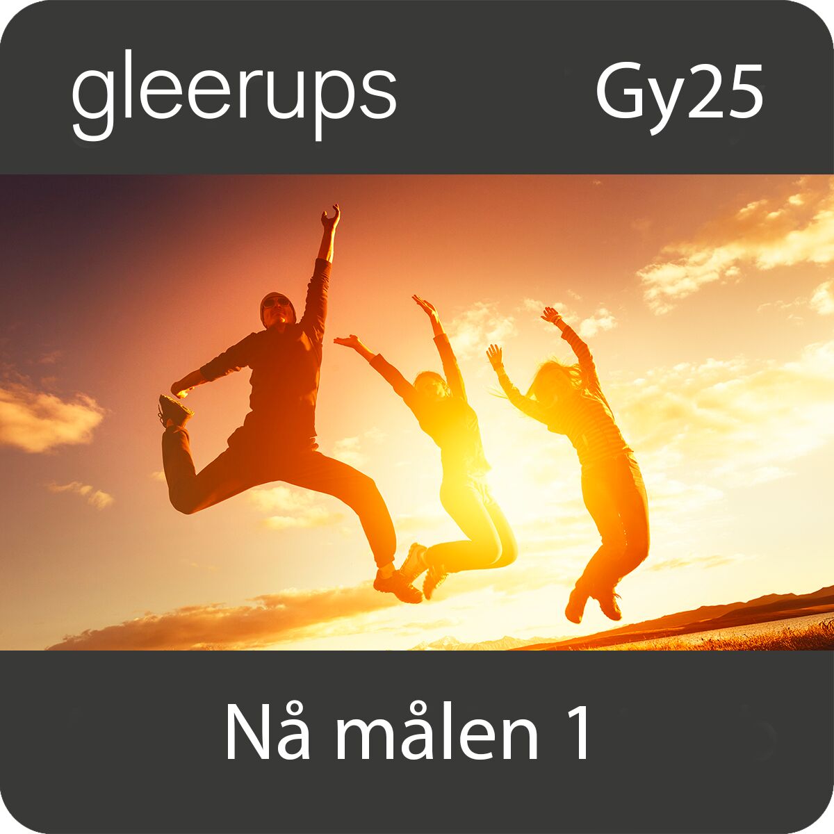 Gleerups Utbildning AB Nå målen 1, digitalt läromedel, elev, Gy25